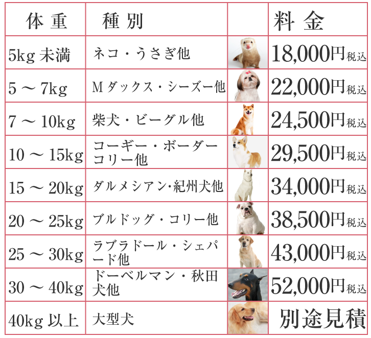 立ち合い火葬スタンダード